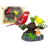Dainuojančios papūgos Lean Toys