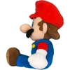 Super Mario – Mario