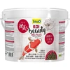 Tetra Koi Beauty mažas 10 l