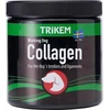 TRIKEM – kolagenas 350 g – (721.2110)