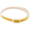 vetcare - blusų ir erkių antkaklis šuniui - citrinų spalvos - 60 cm