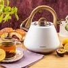 Virdulys plieno su gwizdkiem 2,5 l balta, indukcija, klausberg kb-9061