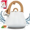 Virdulys plieno su gwizdkiem 2,5 l balta, indukcija, klausberg kb-9061