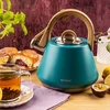 Virdulys plieno su gwizdkiem 2,5 l pistacja, indukcija, klausberg kb-9063