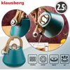 Virdulys plieno su gwizdkiem 2,5 l pistacja, indukcija, klausberg kb-9063