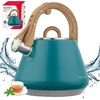 Virdulys plieno su gwizdkiem 2,5 l pistacja, indukcija, klausberg kb-9063