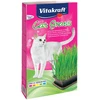 Vitakraft - kačių žolė 120 g - (24031)