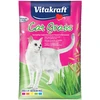 Vitakraft - kačių žolė 50 g, papildymas - (24027)
