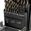 Grąžtas Wiertła HSS-CNC metalo grąžtai, 124°, „Pro-Tec“, 1,0–10,0 mm, 19 vnt. rinkinys