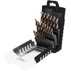 Grąžtas Wiertła HSS-CNC metalo grąžtai, 124°, „Pro-Tec“, 1,0–13,0 mm, 25 vnt. rinkinys