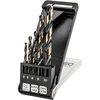 Grąžtas Wiertła HSS-CNC metalo grąžtai, 124°, „Pro-Tec“, 4,0–10 mm, 5 vnt. rinkinys