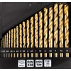 Grąžtas Wiertła HSS TiN metalo grąžtai, 1–10 mm, 19 vnt. rinkinys