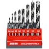 Grąžtas Medienos grąžtų rinkinys 3-10 mm 8gb Proline