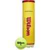 Wilson - Championship Extra Duty 4T kamuoliukas