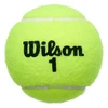 Wilson - Championship Extra Duty 4T kamuoliukas