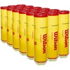 Wilson - Championship Extra Duty 4T kamuoliukas