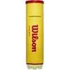 Wilson - Championship Extra Duty 4T kamuoliukas