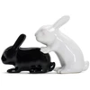 „Winkee“ – „Bunny S+P Shakers“ – druskos ir pipirų dozatorius