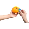 Winkee - citrusinių vaisių žievelių papūga - geltona, mėlyna, raudona