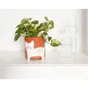 Winkee - gėlių vazono dubuo - gėlių vazono katė - 13 cm -