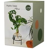 Winkee - hidro vazos flora