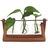 Winkee - Hydro Vases Blossom - Vaza