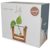 Winkee - Hydro Vases Lilly - Vaza