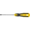 Proline Atsuktuvas T30 x 100mm