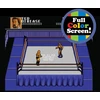 WWE - Classic Mini Arcade