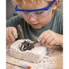 Lean Toys Archeologinių kasinėjimų rinkinys su kaukole
