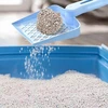 Żwirek Natūralus bentonito kačių kraikas, 20 kg, gumuluojantis, be dulkių, itin gerai sugeriantis
