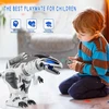 Dinozaurų robotas vaikams