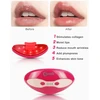 Fernida 2in1