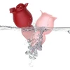 Klitorinis vibratorius 2in1 Rose Series