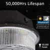 LED lemputė tvartui 50W Intertek AT745