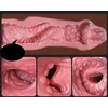 Masturbatorius Creampie Pussy