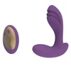 Nuotolinio valdymo pultelis dildo formos vibratorius, violetinis