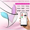 Nuotoliniu būdu valdomas vibratorius per programą