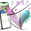 Nuotoliniu būdu valdomas vibratorius per programą