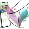 Nuotoliniu būdu valdomas vibratorius per programą