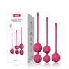 Pink Kegel rinkinys Rožinė Pleasure, 3 vnt
