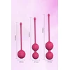 Pink Kegel rinkinys Rožinė Pleasure, 3 vnt