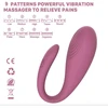Programėle valdomas vibratorius Lush, rožinis