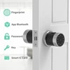 Smart biometrinis durų užraktas su rankena Lifeng