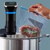 Sous Vide žemos temperatūros vakuuminis prietaisas maistui atitirpinti AT855
