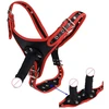 Strap on 3 dildos