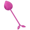 Vaginalinis kamuoliukas Kegel Dream 48 g