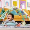 Veiklos kilimės kūdikiams Mambobaby