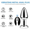Vibratorius - analinis kištukas su nuotolinio valdymo pulteliu