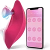 Vibratorius APP Control